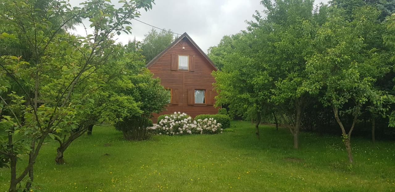 Szyszka I Roza Domek Na Jurze Zelazko 외부 사진